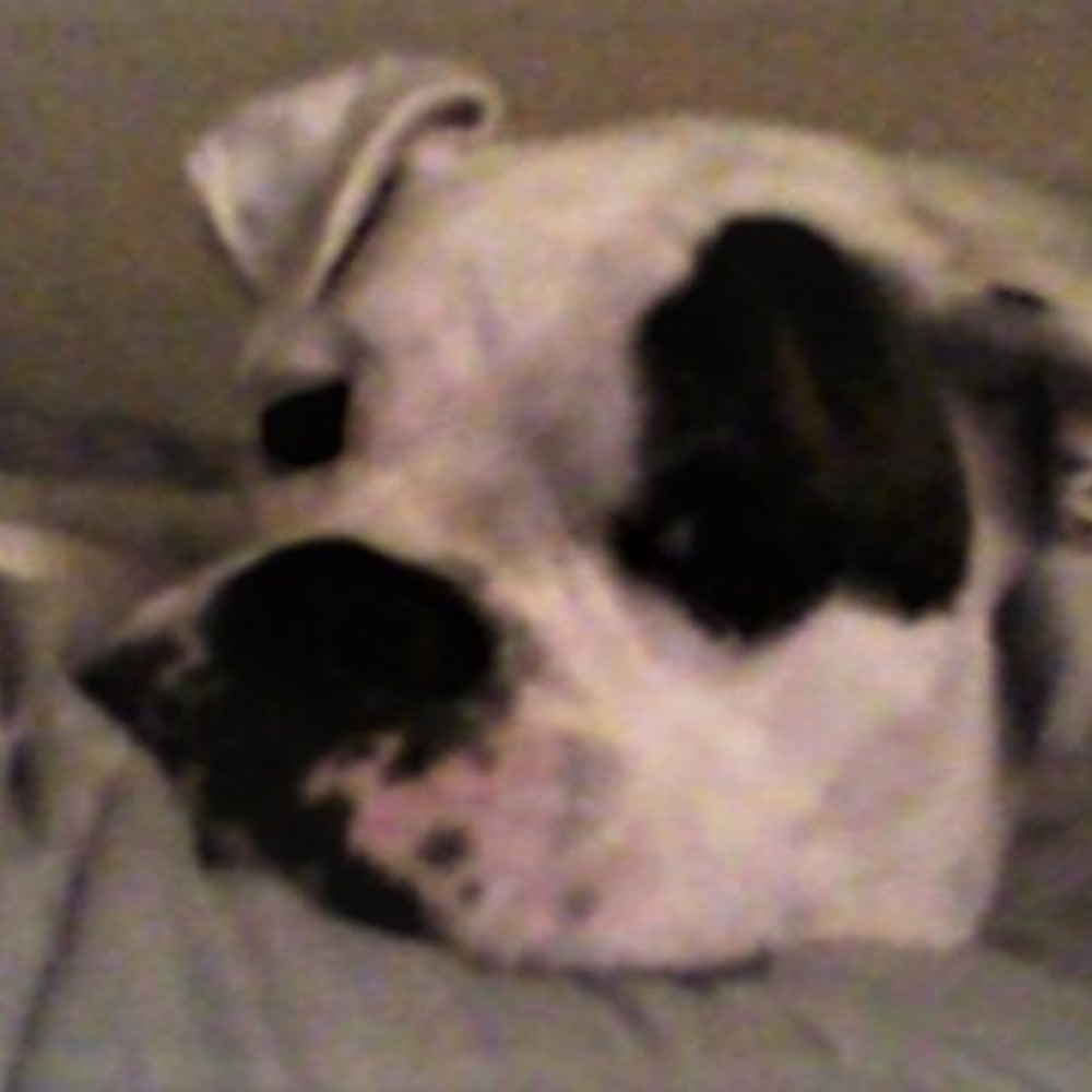 Meet your Posher, Elizabeth